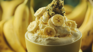 
a delicious piece of the Banana Cream cannabis strain
